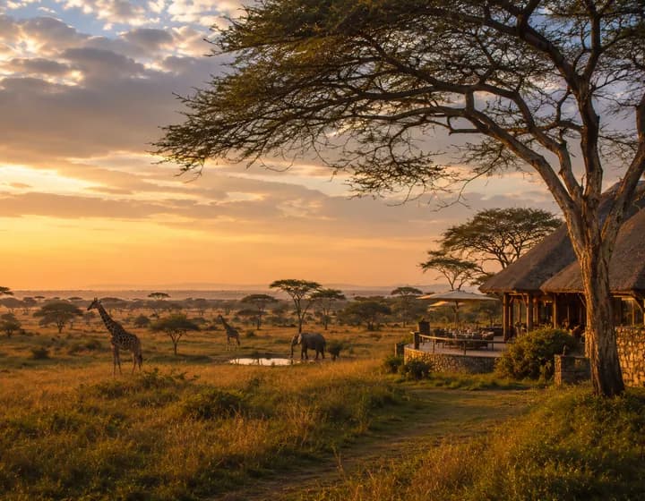 Africa